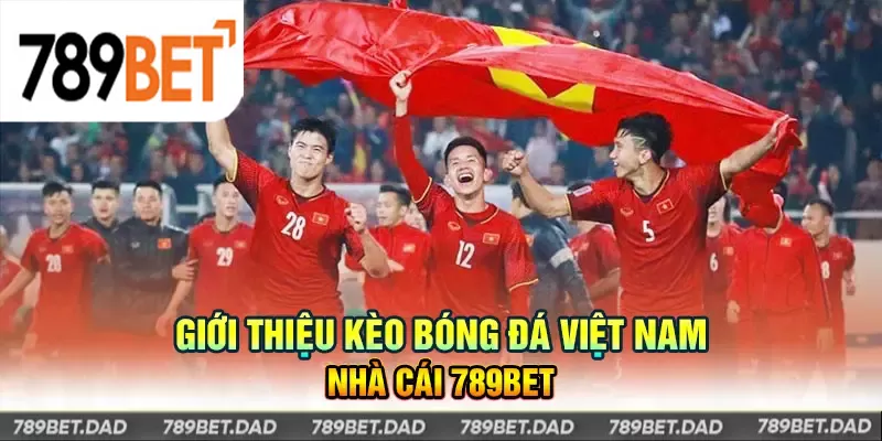 Tìm hiểu cách đọc kèo 2.75 trái chính xác nhất